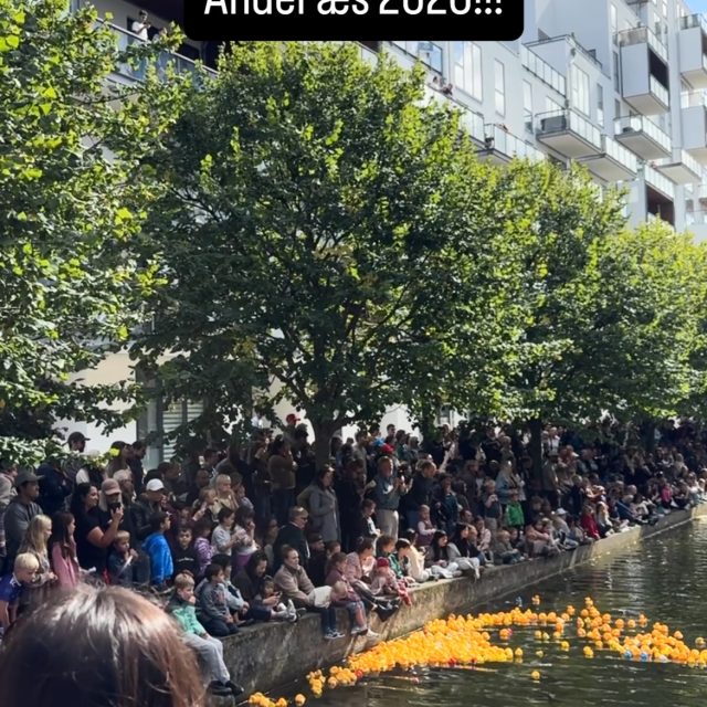 Anderæs 2026!!!